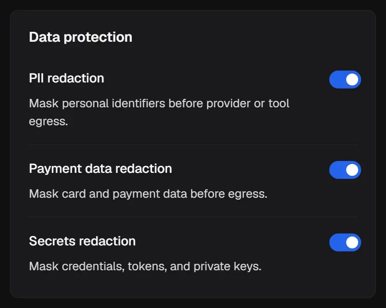 Data protection controls: PII redaction, Payment data redaction and Secrets redaction.